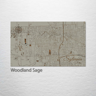 Sylvania, Ohio Street Map