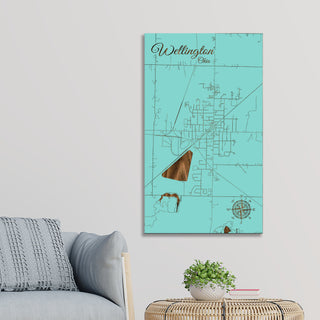 Wellington, Ohio Street Map