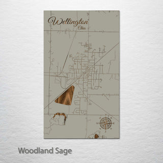 Wellington, Ohio Street Map