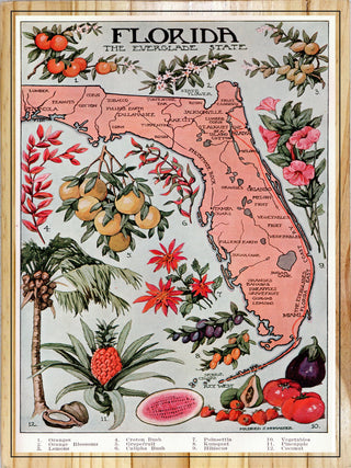 Florida Travel Poster
