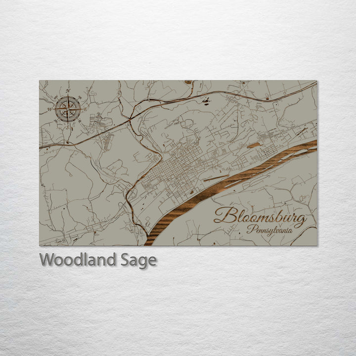 Bloomsburg, Pennsylvania Street Map