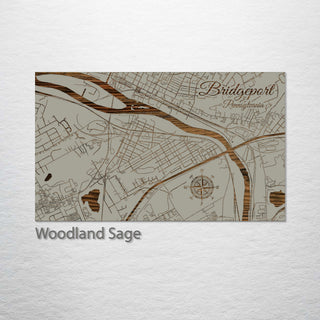 Bridgeport, Pennsylvania Street Map