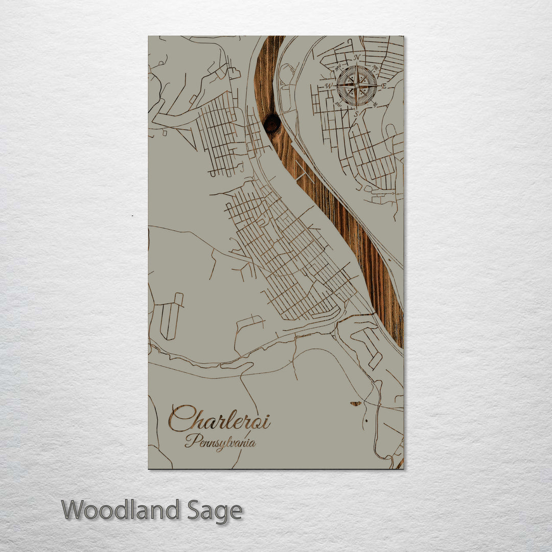 Charleroi, Pennsylvania Street Map