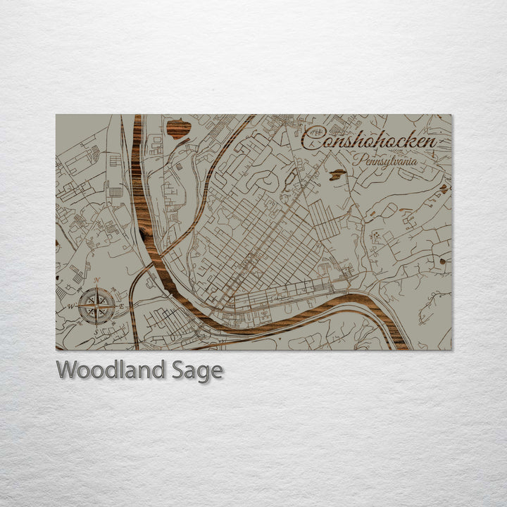 Conshohocken, Pennsylvania Street Map