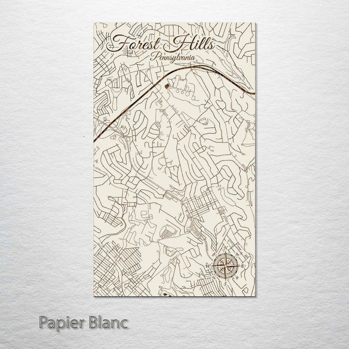 Forest Hills, Pennsylvania Street Map