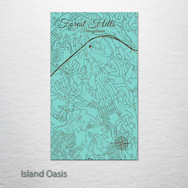 Forest Hills, Pennsylvania Street Map