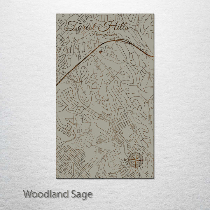 Forest Hills, Pennsylvania Street Map