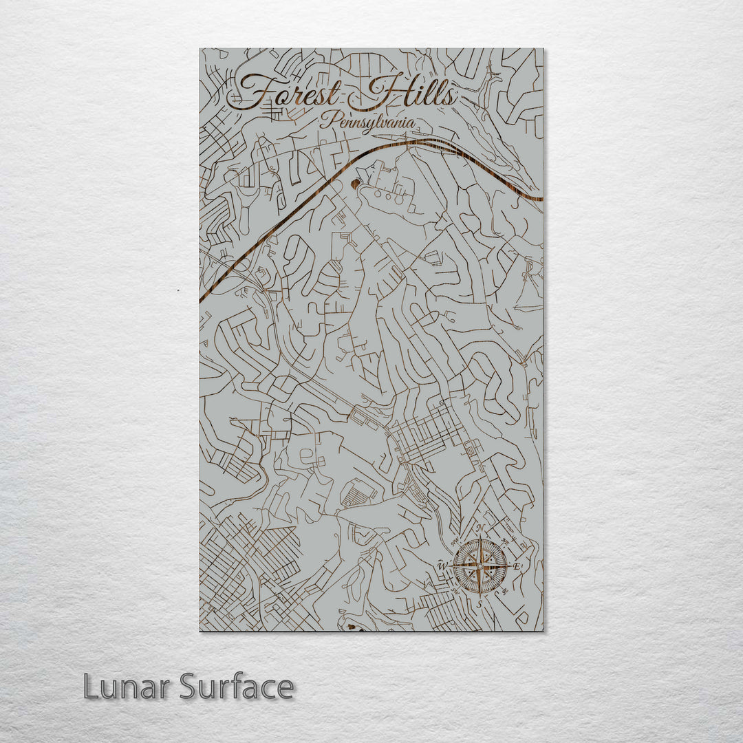 Forest Hills, Pennsylvania Street Map