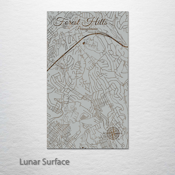 Forest Hills, Pennsylvania Street Map