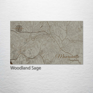 Monroeville, Pennsylvania Street Map