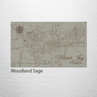 Mount Joy, Pennsylvania Street Map
