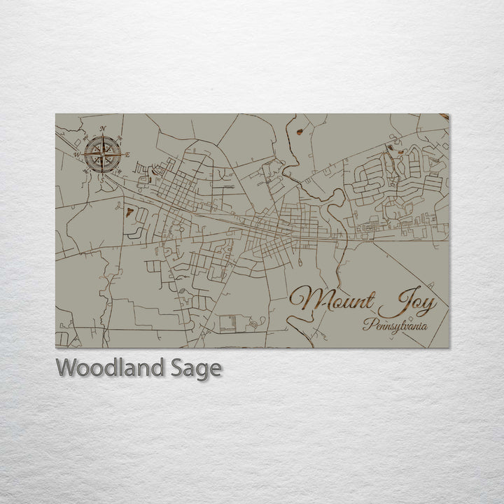 Mount Joy, Pennsylvania Street Map