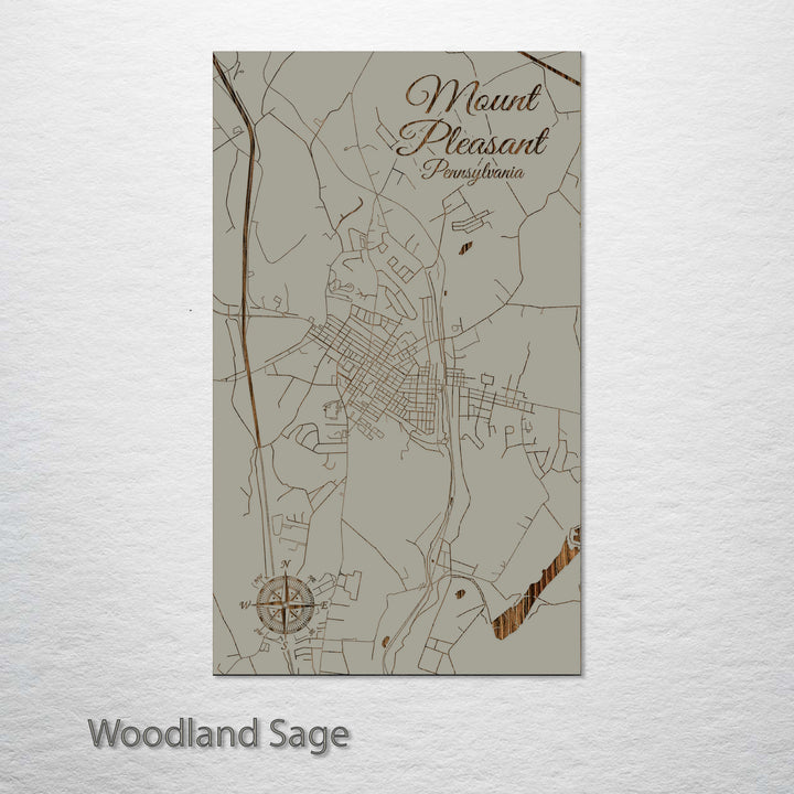 Mount Pleasant, Pennsylvania Street Map