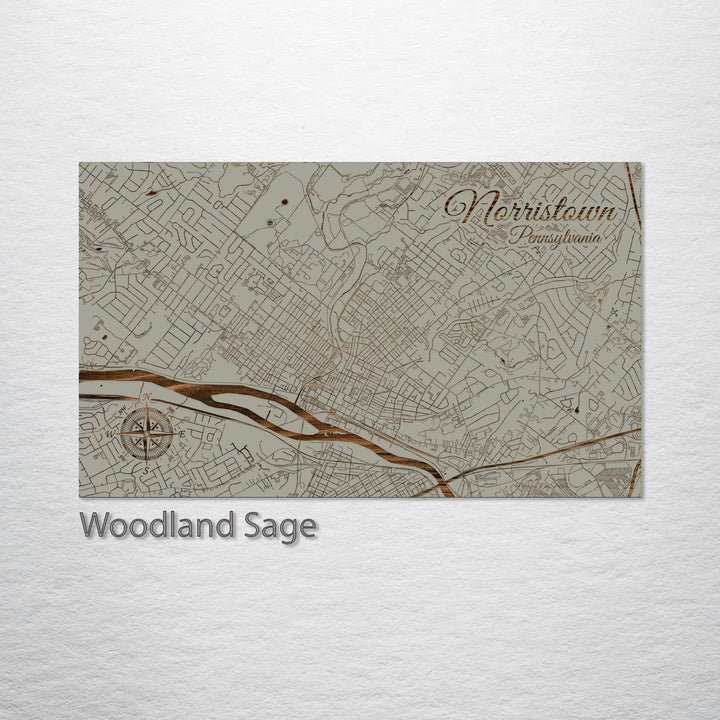 Norristown, Pennsylvania Street Map