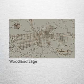 Shamokin, Pennsylvania Street Map