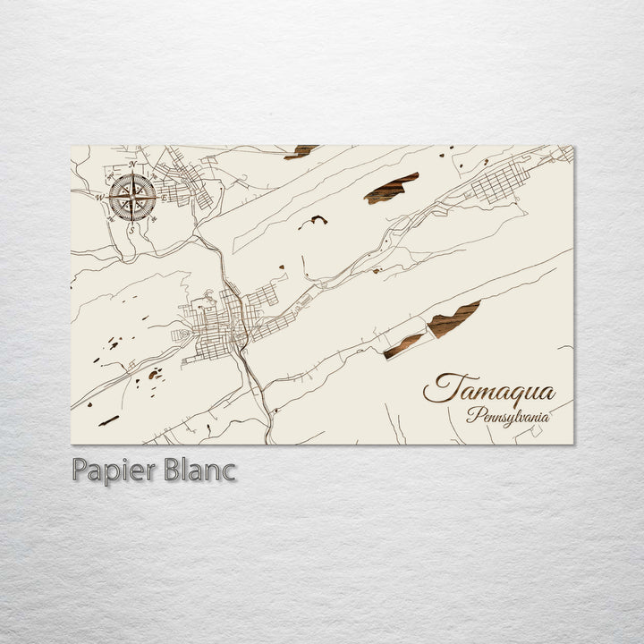 Tamaqua, Pennsylvania Street Map