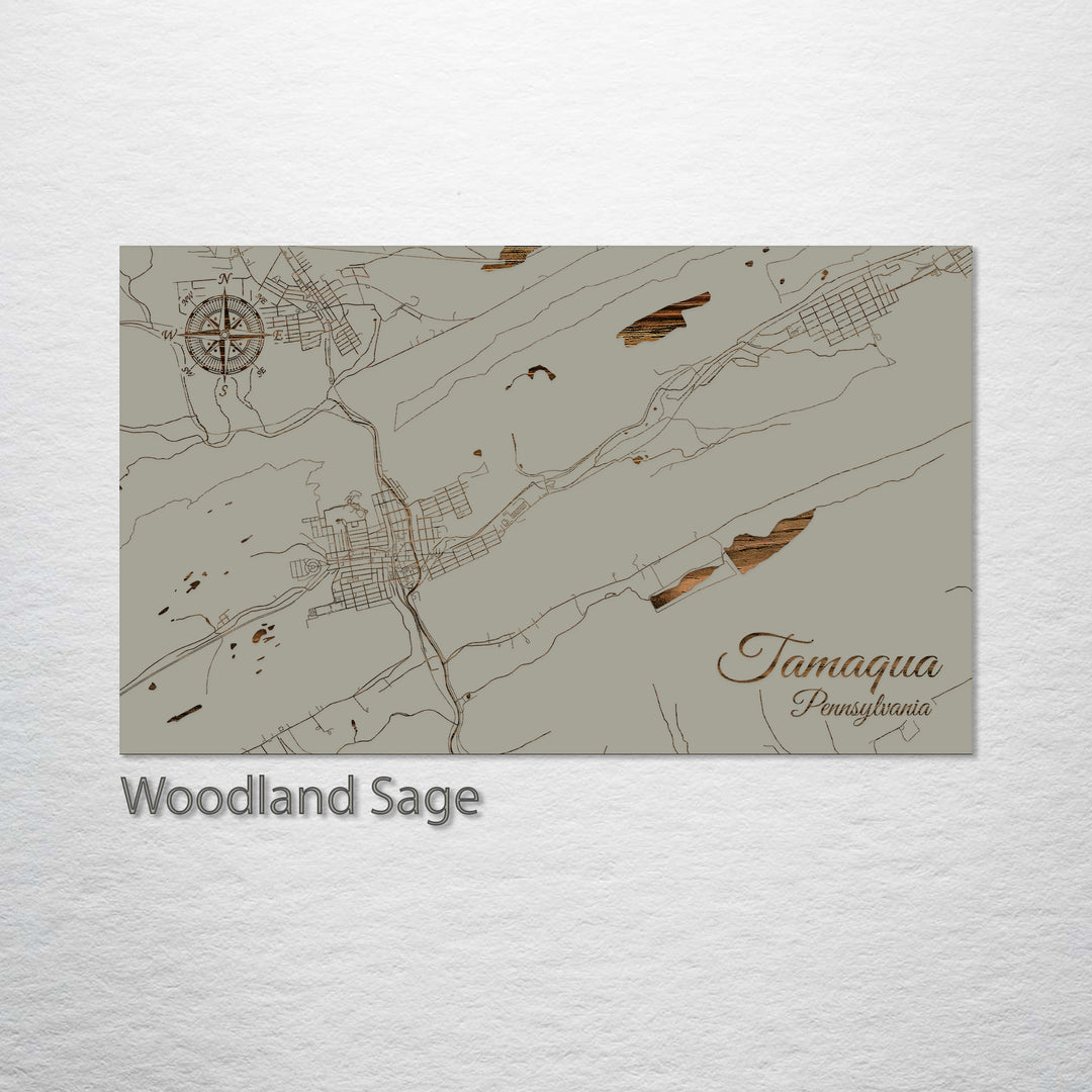 Tamaqua, Pennsylvania Street Map