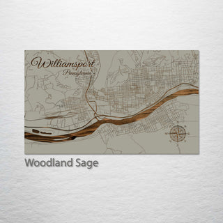 Williamsport, Pennsylvania Street Map