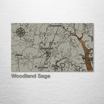 Ridgeland, South Carolina Whimsical Map - Fire & Pine