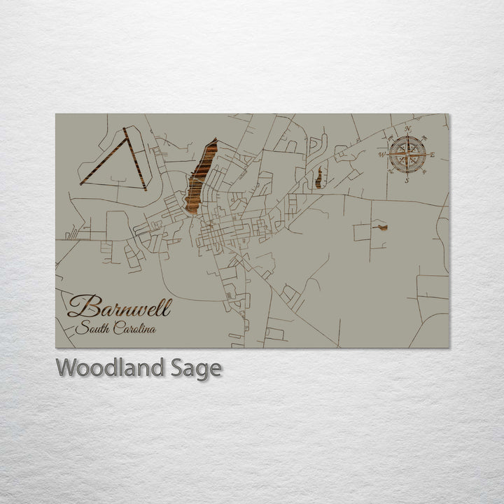 Barnwell, South Carolina Street Map