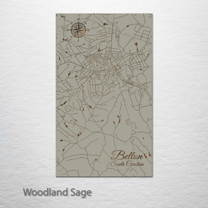 Belton, South Carolina Street Map