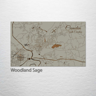 Camden, South Carolina Street Map
