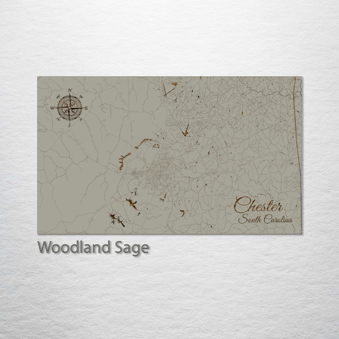 Chester, South Carolina Street Map