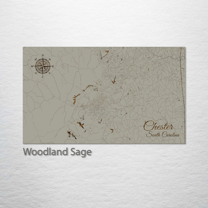 Chester, South Carolina Street Map