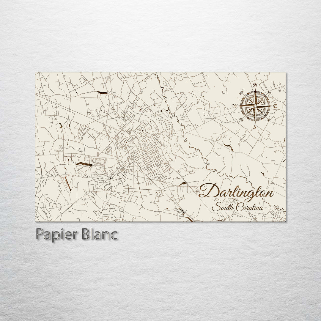 Darlington, South Carolina Street Map