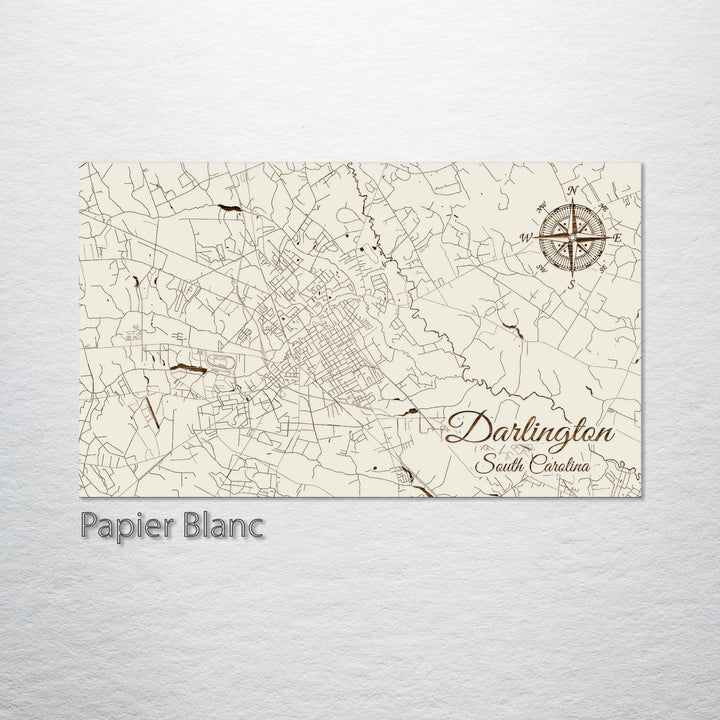 Darlington, South Carolina Street Map