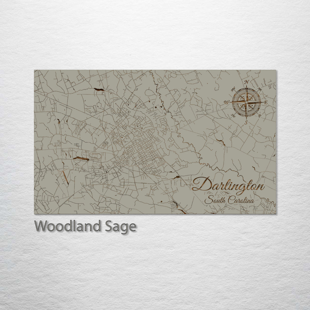 Darlington, South Carolina Street Map