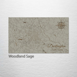 Darlington, South Carolina Street Map