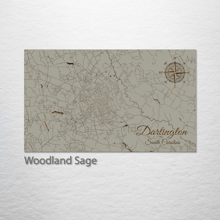 Darlington, South Carolina Street Map