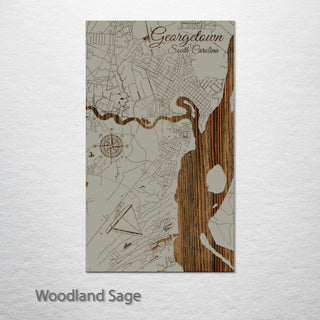 Georgetown, South Carolina Street Map