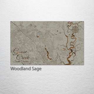 Goose Creek, South Carolina Street Map