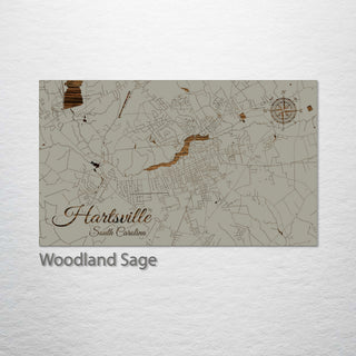 Hartsville, South Carolina Street Map