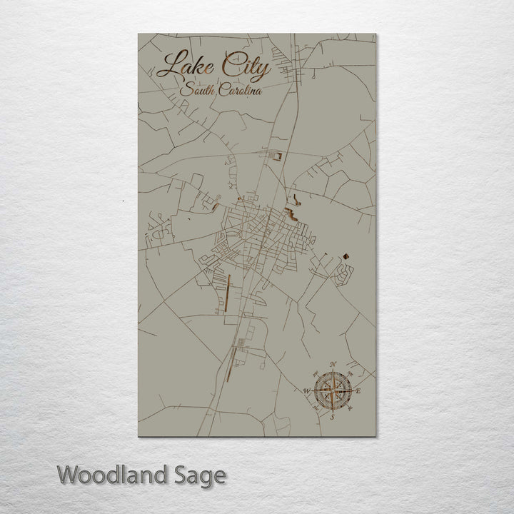 Lake City, South Carolina Street Map