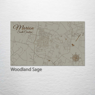 Marion, South Carolina Street Map