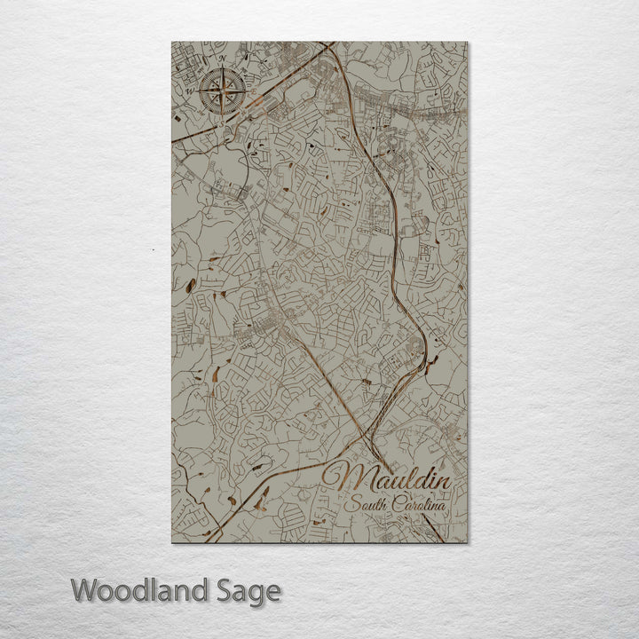 Mauldin, South Carolina Street Map