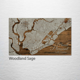 Mount Pleasant, South Carolina Street Map