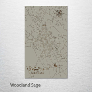 Mullins, South Carolina Street Map