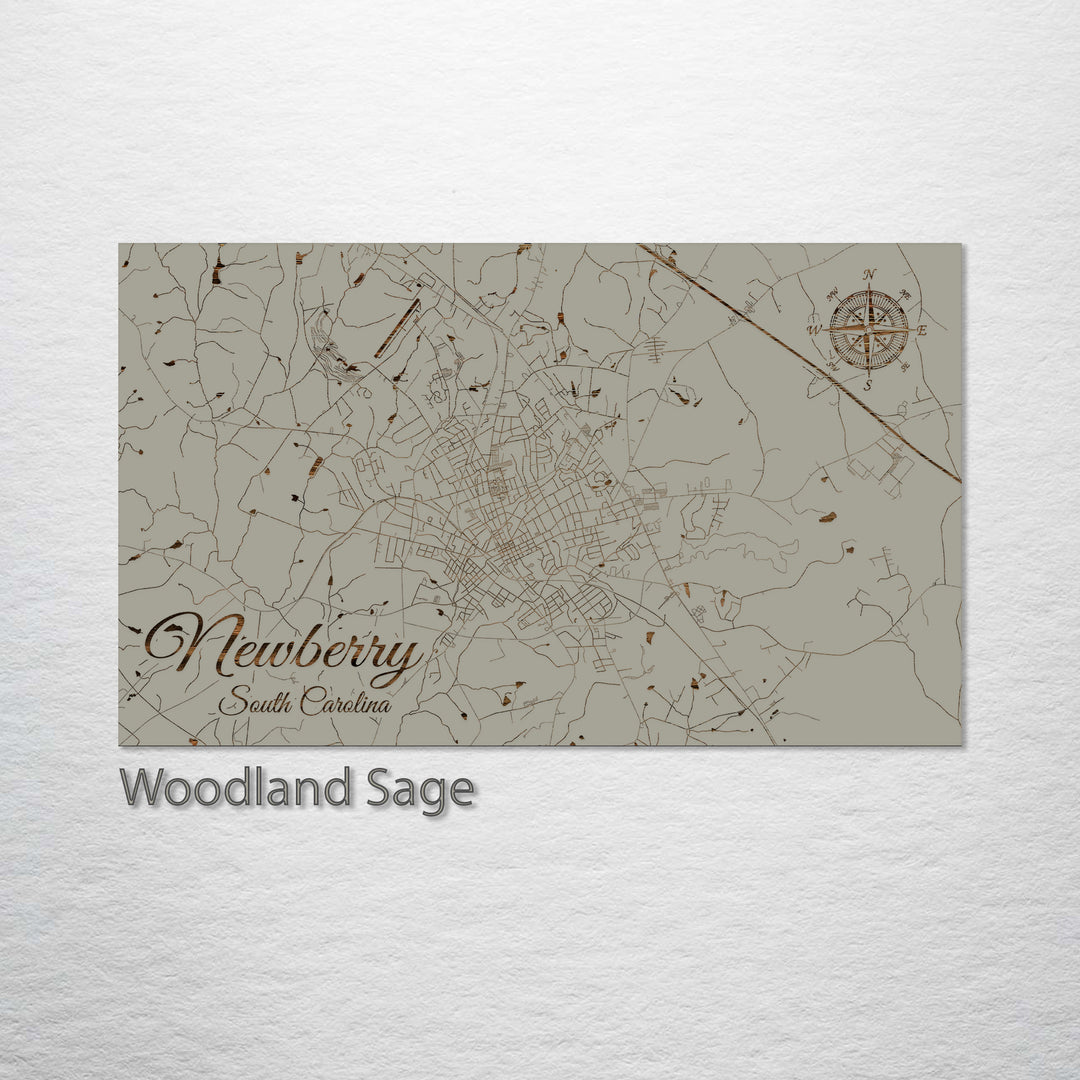 Newberry, South Carolina Street Map