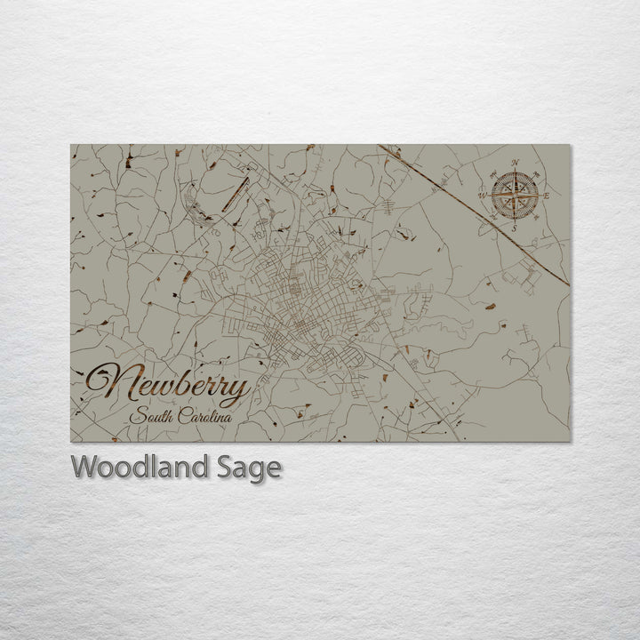 Newberry, South Carolina Street Map