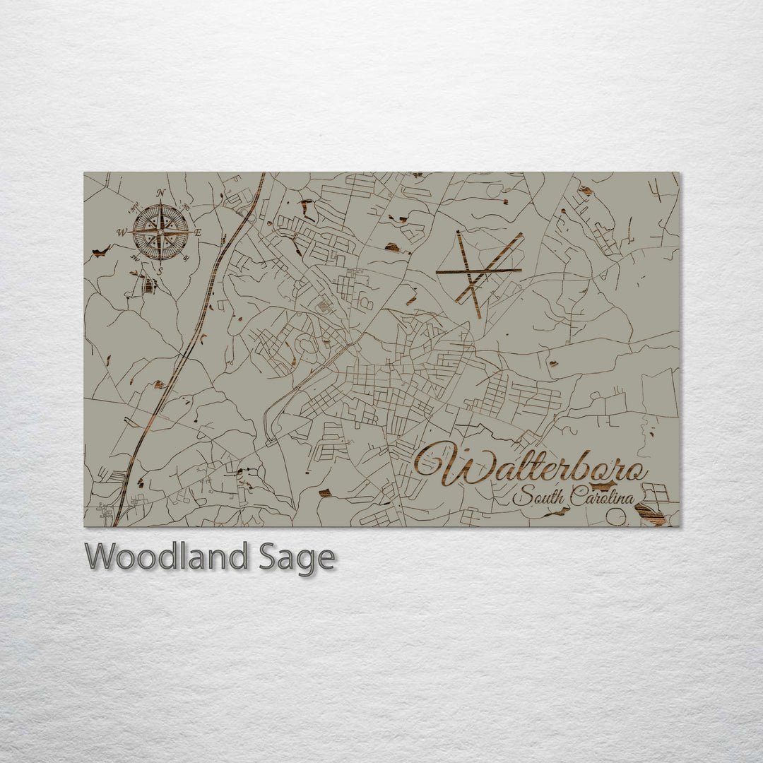 Walterboro, South Carolina Street Map