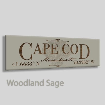 Cape Cod, Massachusetts Shell