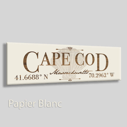 Cape Cod, Massachusetts Shell