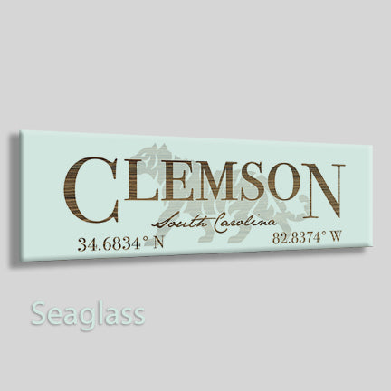 Clemson, South Carolina Tiger