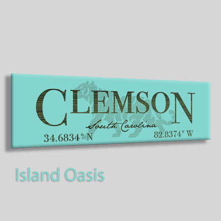 Clemson, South Carolina Tiger