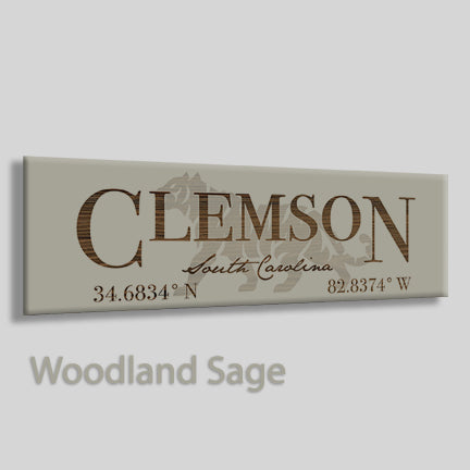 Clemson, South Carolina Tiger