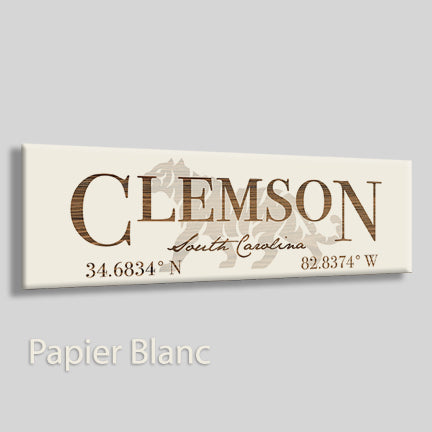 Clemson, South Carolina Tiger